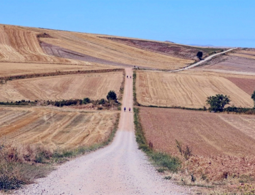 Voces de AUDEMAC (83)