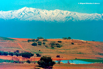 Una de las lagunas de Belvís al oeste del casco urbano (foto de Miguel Méndez-Cabeza)