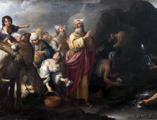 Visita con Mario a la exposición “Arte y misericordia. El Barroco de la Santa Caridad de Sevilla en Madrid”